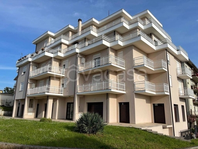 Appartamento in in vendita da privato a Pontecorvo via Trieste, 15