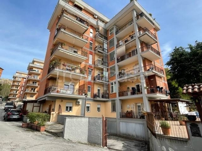 Appartamento in vendita a Frosinone viale Giuseppe Mazzini