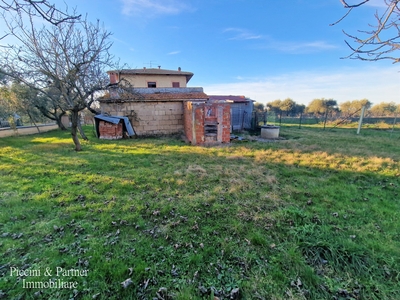 Casa indipendente - Badia, Castiglione del Lago