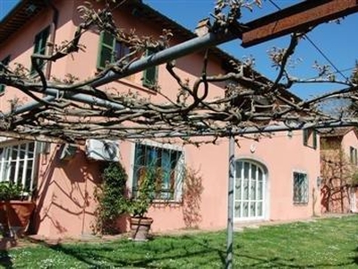 In Vendita: Prestigiosa Azienda Vitivinicola a Montescudaio, Toscana