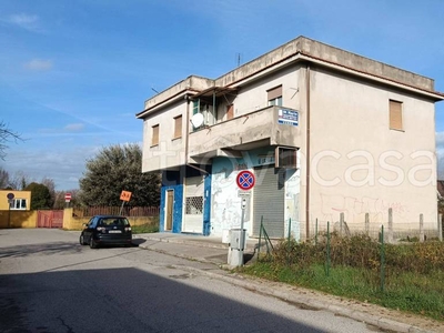 Intero Stabile in vendita a Frosinone via Arno, 50