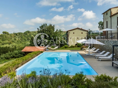 Rural Home On Sale Palaia (Pi)