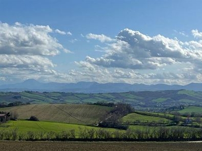 Terreno edificabile con 3 ettari di terreno