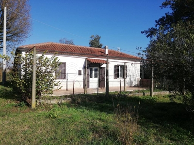 Villa in in vendita da privato a Ceprano via Limate Bovi, 12