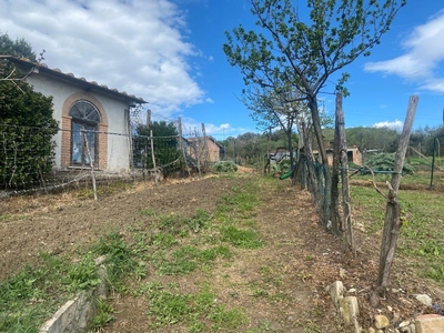 Villa Bifamiliare con giardino a Castelnuovo Berardenga