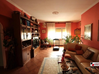 Appartamento con terrazzo, Lucca san concordio contrada