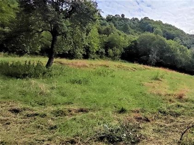 BRUMANO DELIZIOSA PORZIONE DI CASA ABITABILE + RUSTICO + TERRENO AGRICOLO