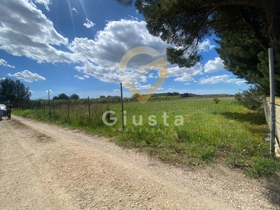 Terreno agricolo in Vendita a Brindisi, zona Paradiso, 21'000€, 1566 m²