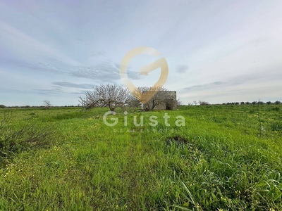 Terreno agricolo in Vendita a Brindisi, zona Tuturano, 59'000€, 50000 m²