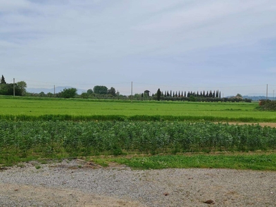Terreno agricolo in Vendita a San Miniato Via Tosco Romagnola Est,