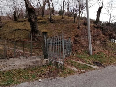 Terreno Agricolo in Vendita ad Montecorvino Rovella - 33000 Euro