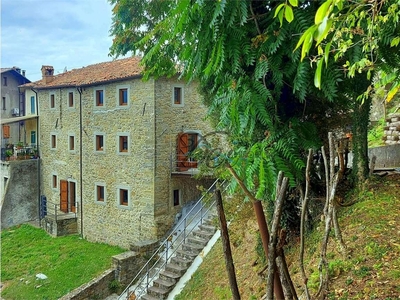 Vendita Rustico/Casale San Romano in Garfagnana