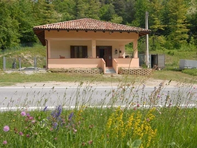 Casa con quasi 2 ha di terreno