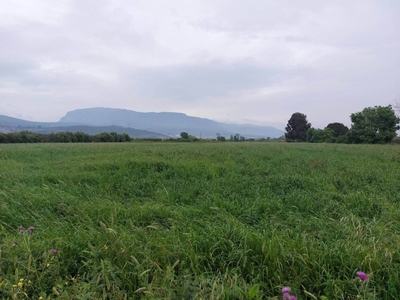 Terreno Agricolo in vendita a Eboli traversa Ottava Prato