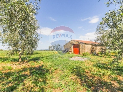 Terreno Agricolo in vendita a Farnese località punton pechino