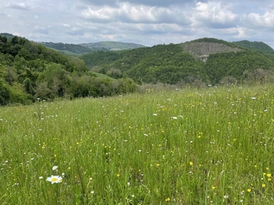 Terreno Agricolo in vendita a Fontanelice