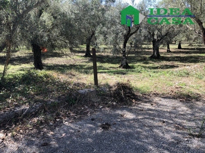 Terreno Agricolo in vendita a Giano Vetusto