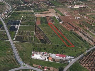 Terreno Agricolo in vendita a Lamezia Terme via Pasquale Cerra, 19