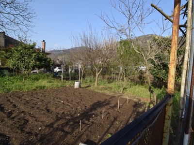 Terreno Agricolo in vendita a Siano