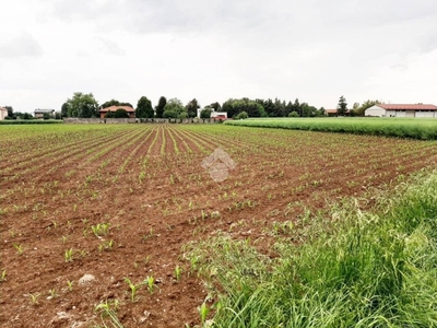 Terreno Agricolo in vendita a Turate via San Martino, 111