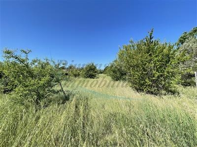 Agricolo a Marina Di Bibbona, Bibbona