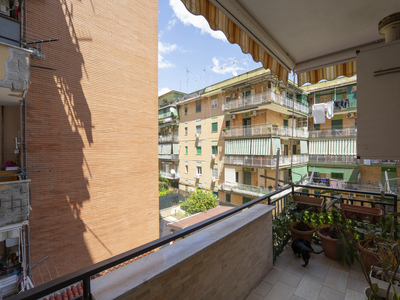 Appartamento di 130 mq in vendita - Arzano