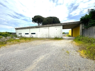 Fondo commerciale in vendita Firenze