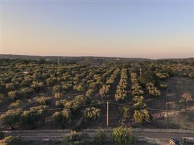 Terreni a Ostuni