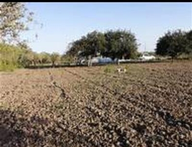 Terreno agricolo in buono stato di 1310 mq. a Ospedaletto