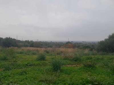 Terreno agricolo in Vendita a Siracusa, zona Cassibile, 8'000€, 3000 m²