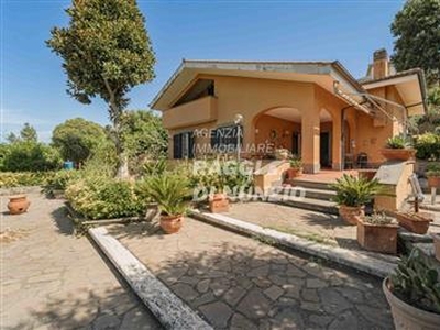 Villa - Bifamiliare a Frascati