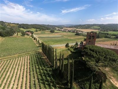 Azienda agricola in buono stato di 500000 mq.