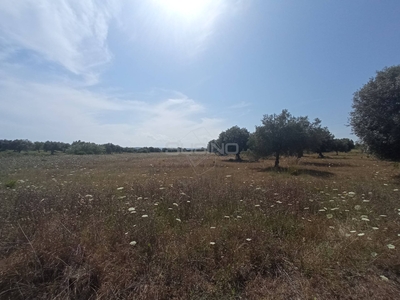 Terreno in vendita, Siracusa tivoli