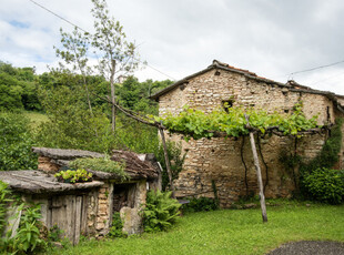 rustico / casale in vendita a Cerro Veronese