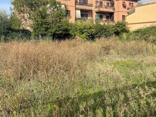 Terreno agricolo in affitto a Roma