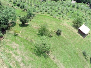 Terreno agricolo in vendita a Adrara San Rocco