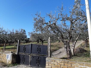 Terreno agricolo in vendita a Fonte Nuova