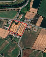 Terreno Agricolo in vendita a Pernumia - Zona: Maseralino