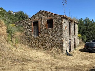 Terreno agricolo in vendita a Piraino