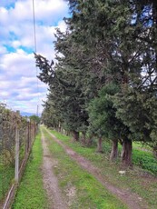 terreno agricolo in vendita a Quartucciu