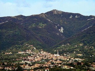 Terreno agricolo in vendita a Sorisole