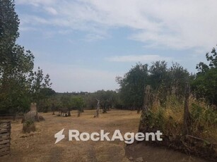 terreno agricolo in vendita a Viterbo