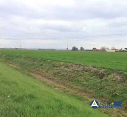 Terreno edificabile in Vendita a Cascina localita Palmerino