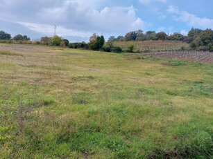 V Terreno agricolo Imola