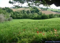 Ville, villette, terratetti Montefiore dell'aso