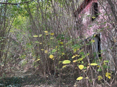 Rustico casale da ristrutturare a Montegrotto Terme