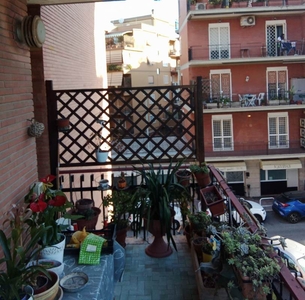 Torrevecchia Numero di locali Monolocali - Affitto Appartamenti a Roma