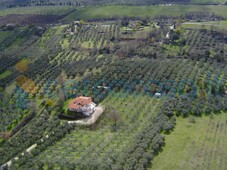 Villa in ottime condizioni in vendita a Viterbo