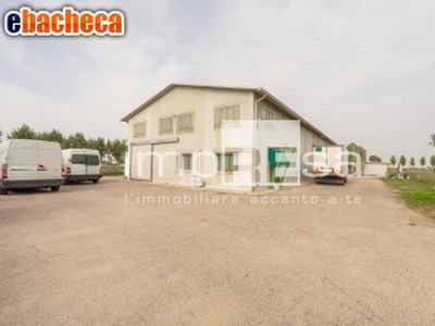 Azienda Agricola a..