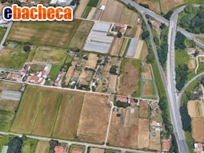 Agricolo a Viareggio